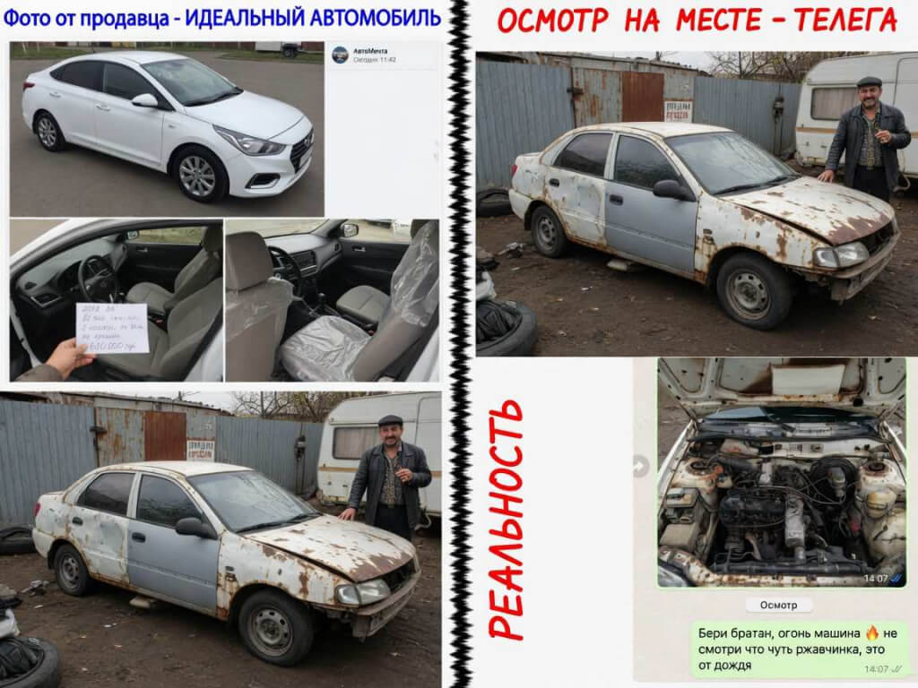 moska mo.jpg